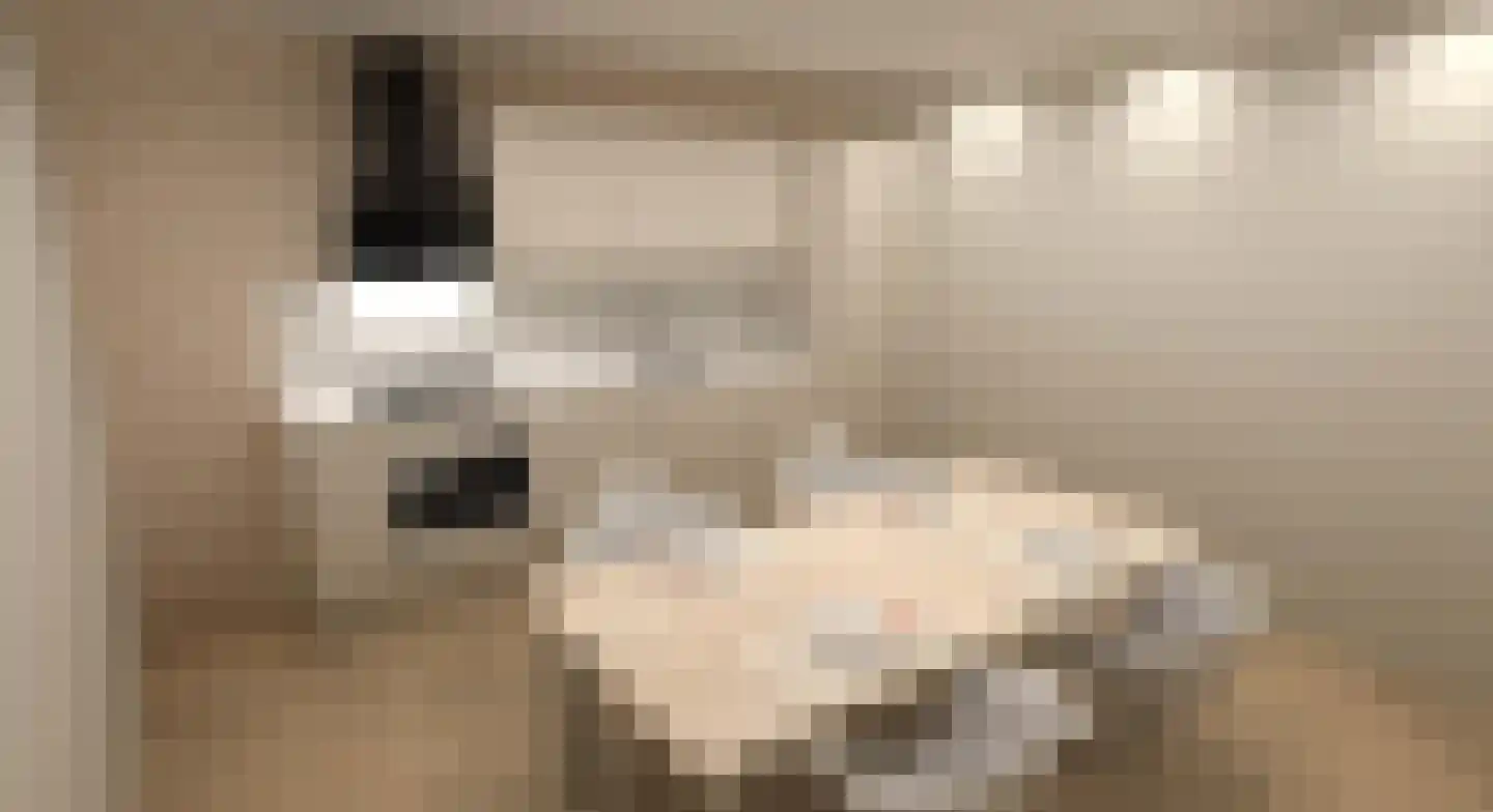 Het Heydenrijck 22 e Groenlo thumbnail 5