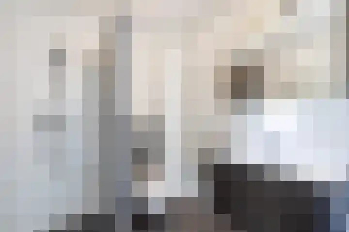 het Hietland 12 Zelhem thumbnail 18