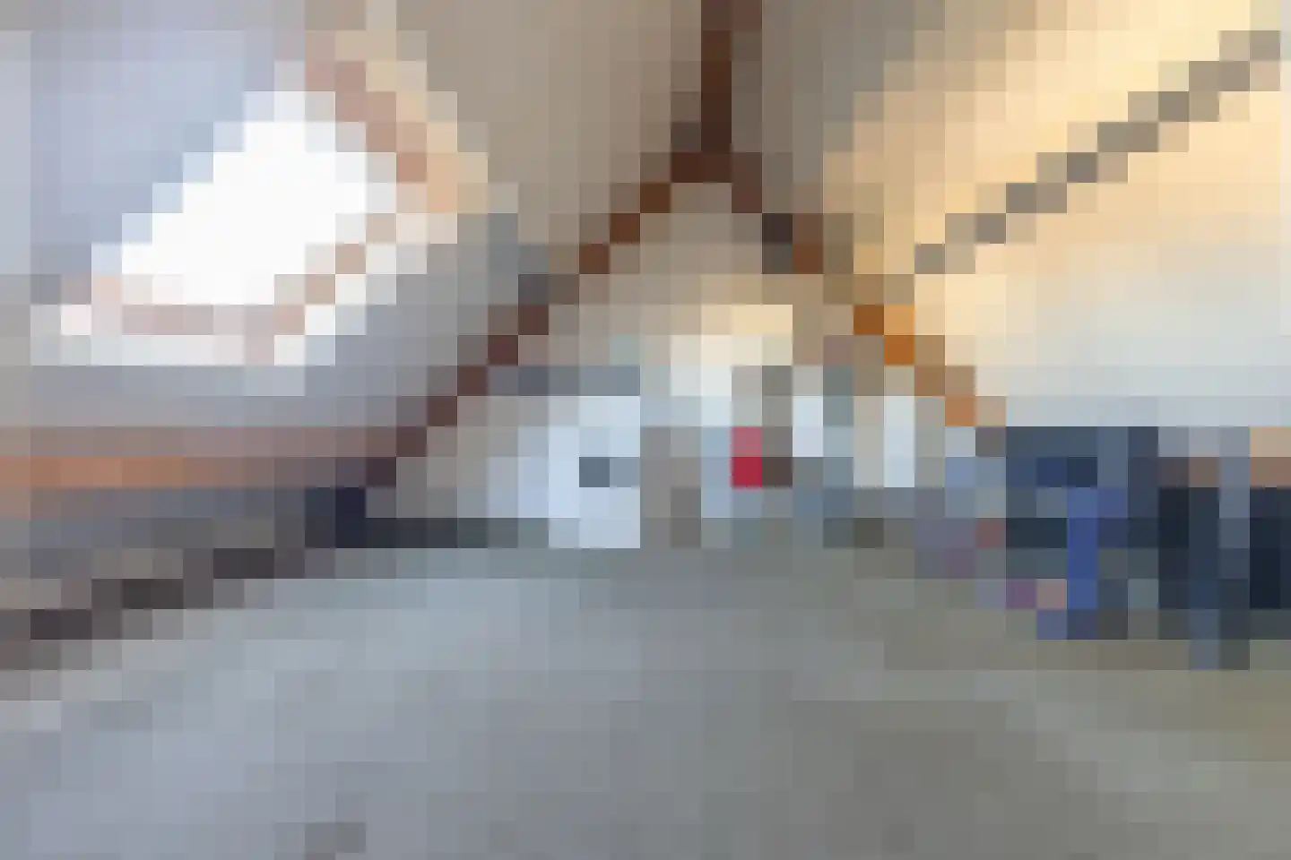 het Hietland 12 Zelhem thumbnail 19