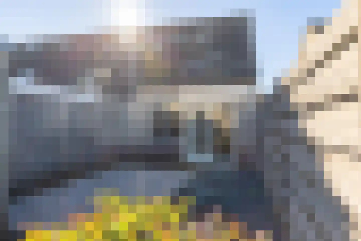 het Hietland 12 Zelhem thumbnail 21