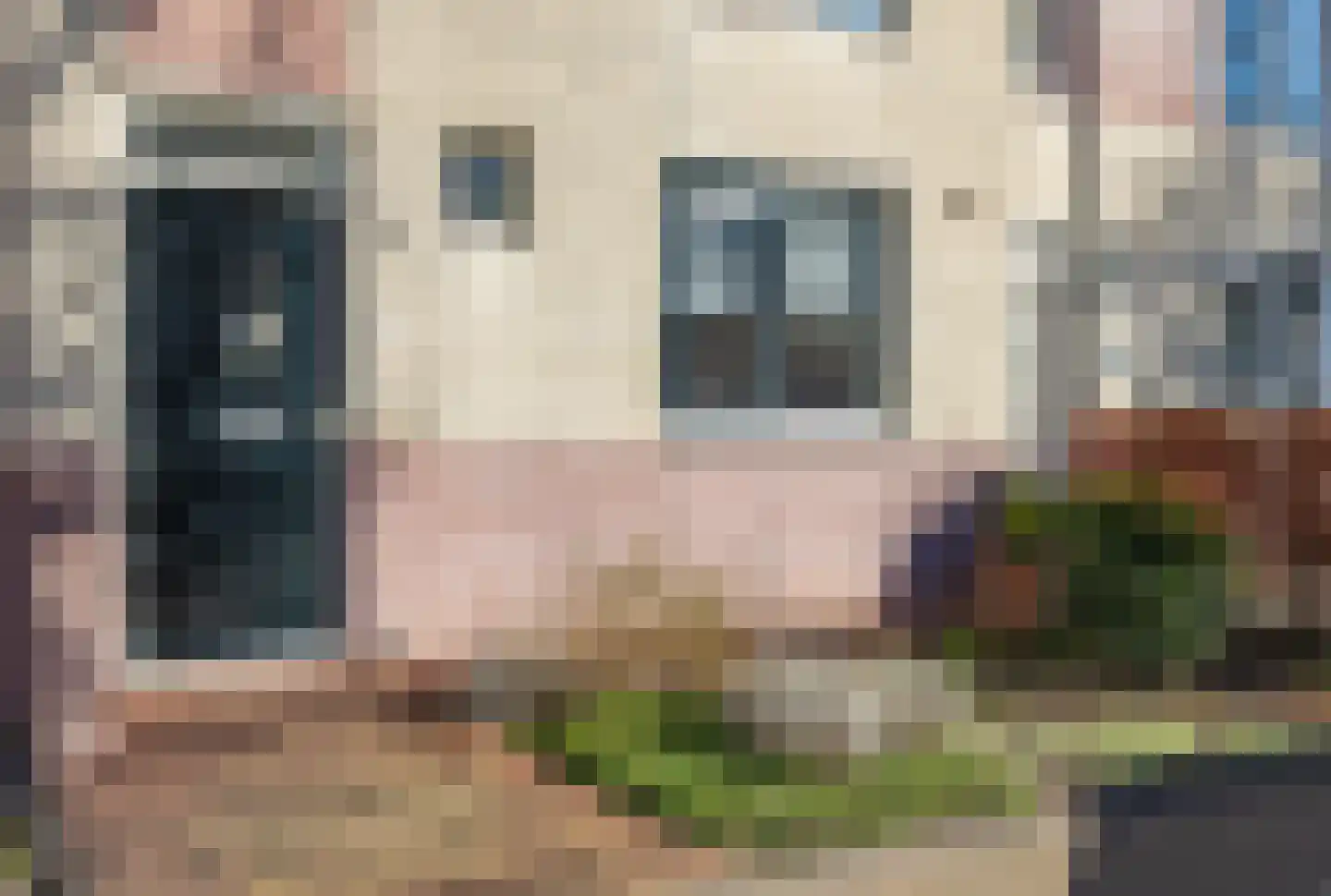 het Hietland 12 Zelhem thumbnail 4