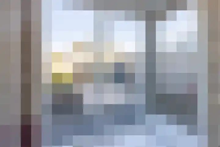 het Hietland 12 Zelhem thumbnail 9