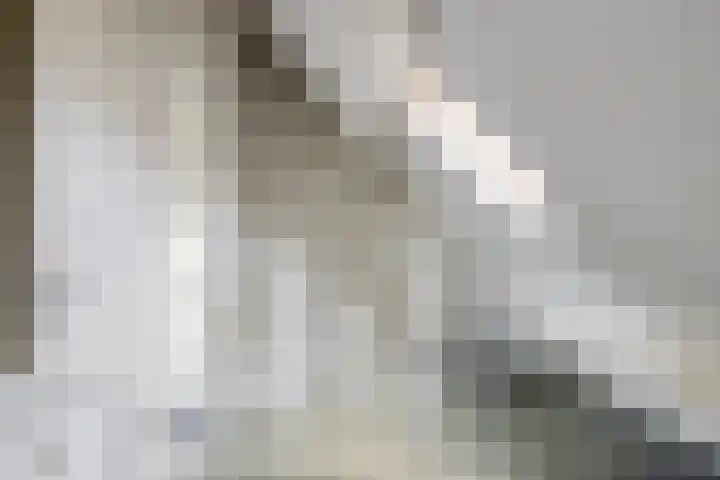 het Hietland 16 Zelhem thumbnail 30