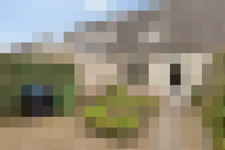 het Hietland 16 Zelhem thumbnail 31