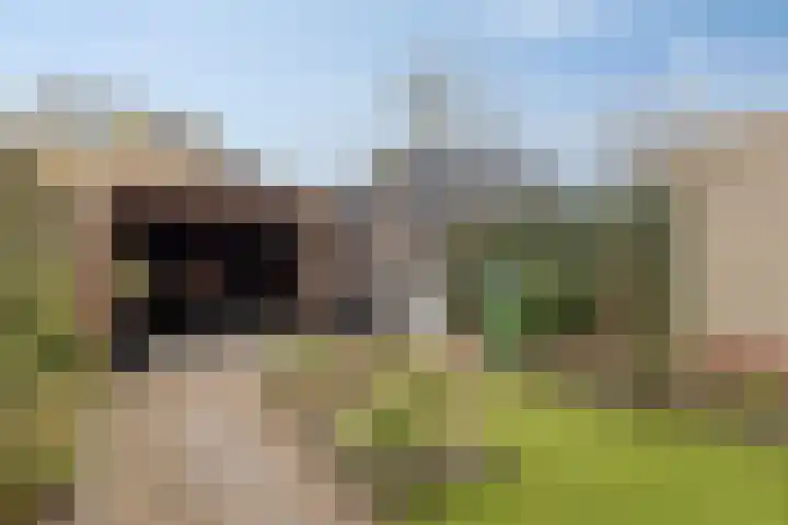 het Hietland 16 Zelhem thumbnail 32