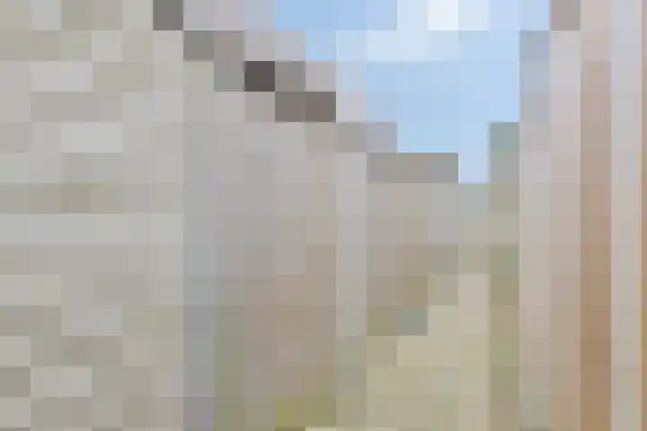 het Hietland 16 Zelhem thumbnail 36