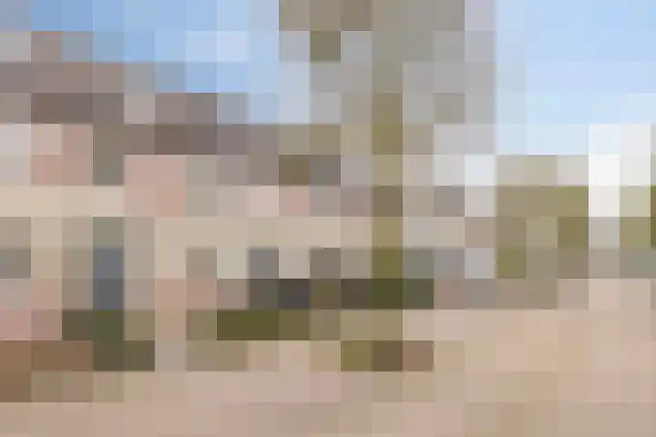 het Hietland 16 Zelhem thumbnail 37