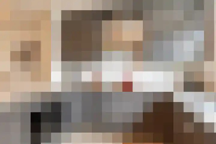 het Hietland 16 Zelhem thumbnail 7