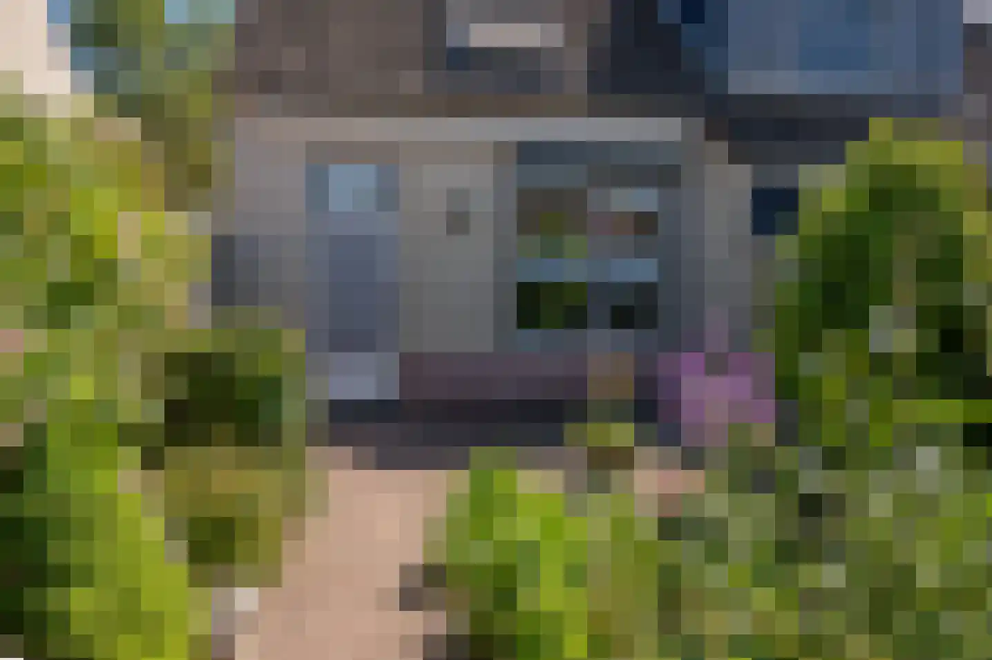 het Hietland 35 Zelhem thumbnail 30