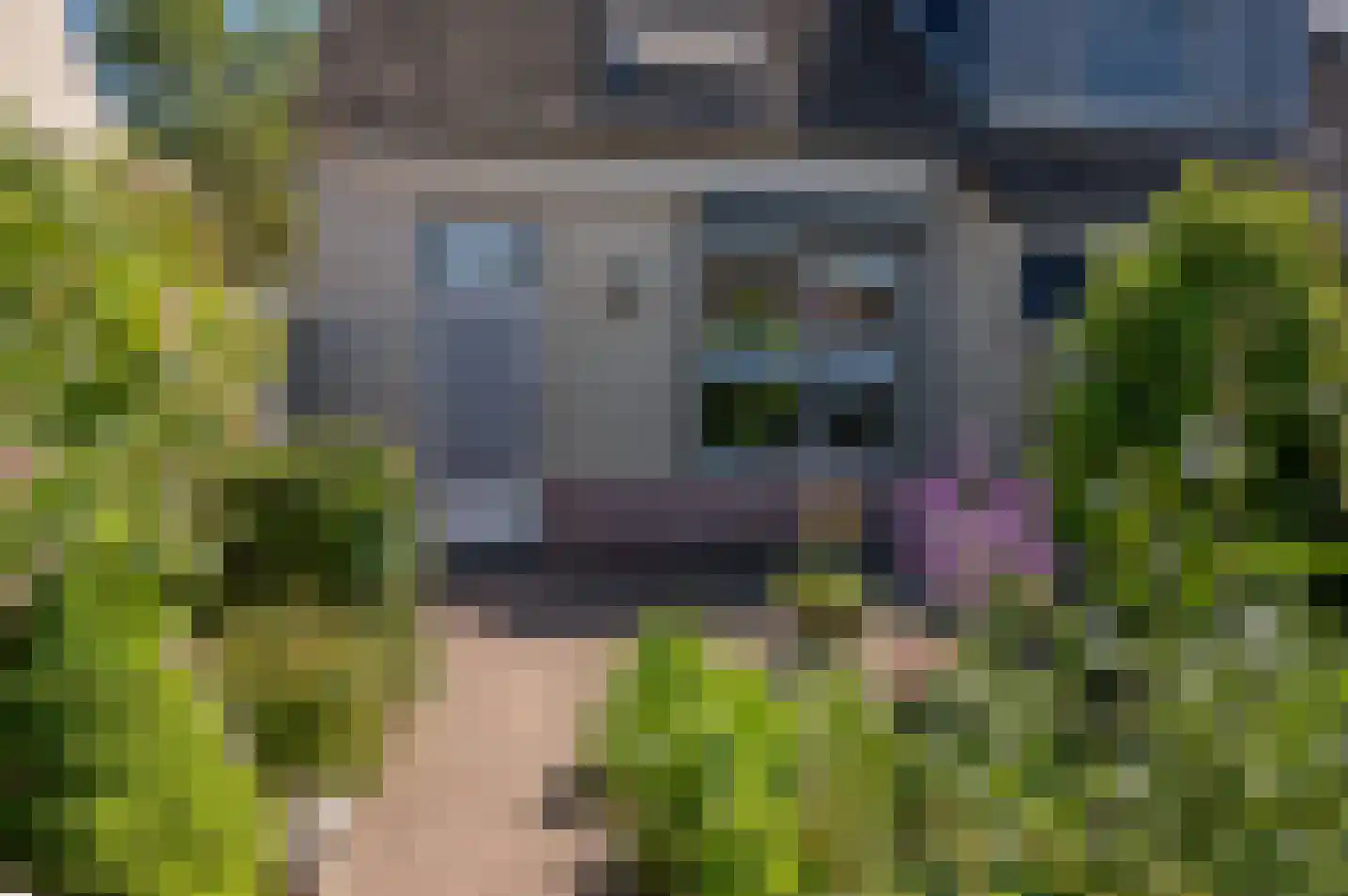 het Hietland 35 Zelhem thumbnail 32