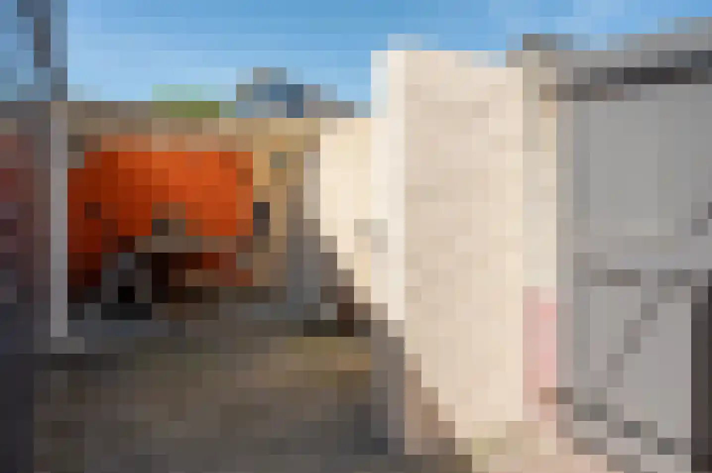 het Hietland 35 Zelhem thumbnail 35