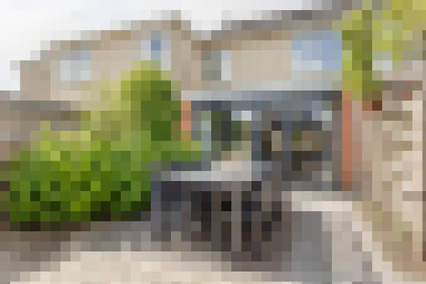 het Hietland 8 Zelhem thumbnail 46