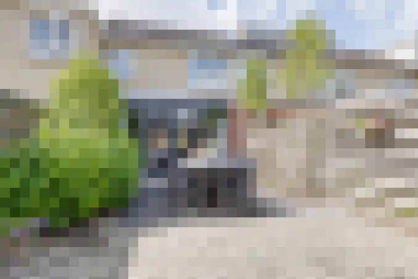 het Hietland 8 Zelhem thumbnail 48