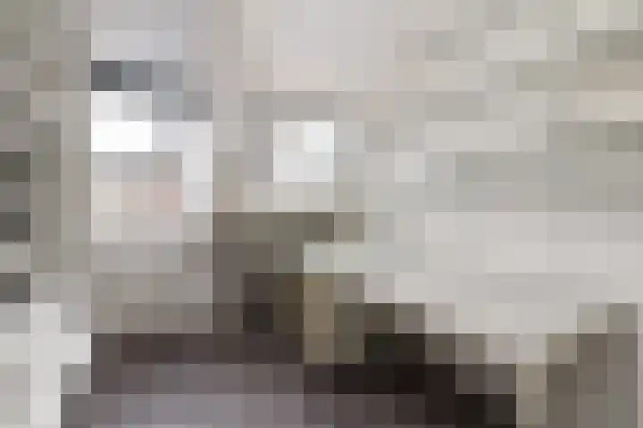 het Hobers 4 Mariënheem thumbnail 19