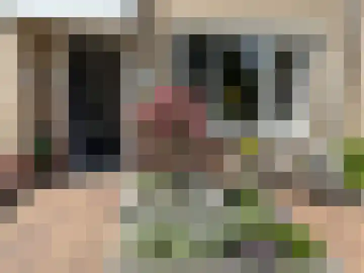 het Hobers 4 Mariënheem foto 3