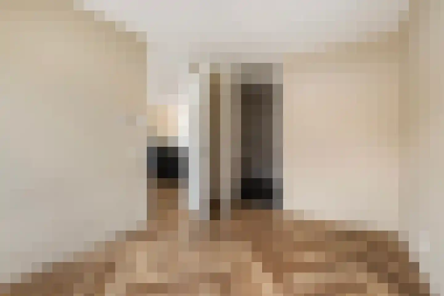 Het Hoefijzer 2 Dronten thumbnail 5