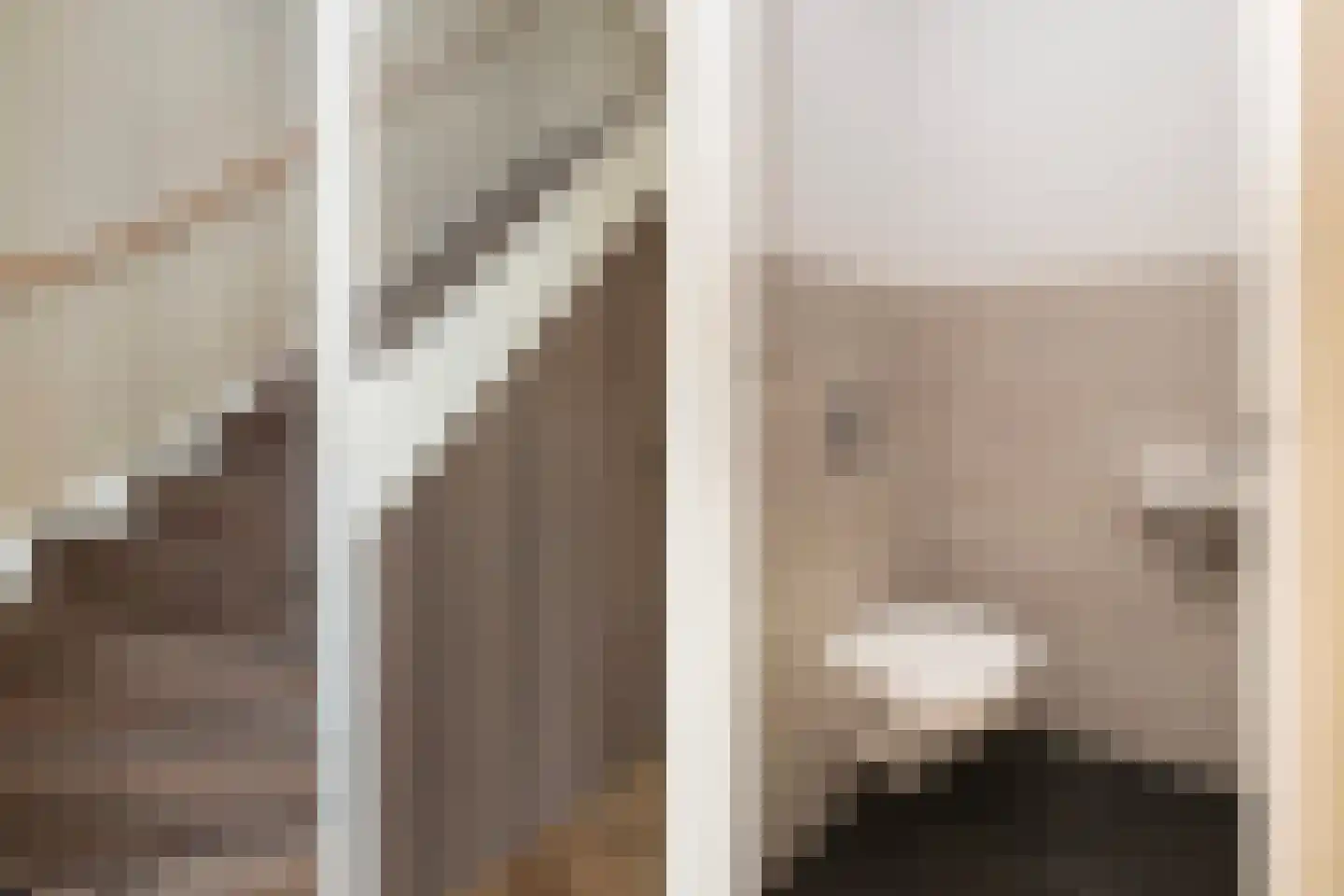 Het Hoefijzer 2 Dronten thumbnail 8
