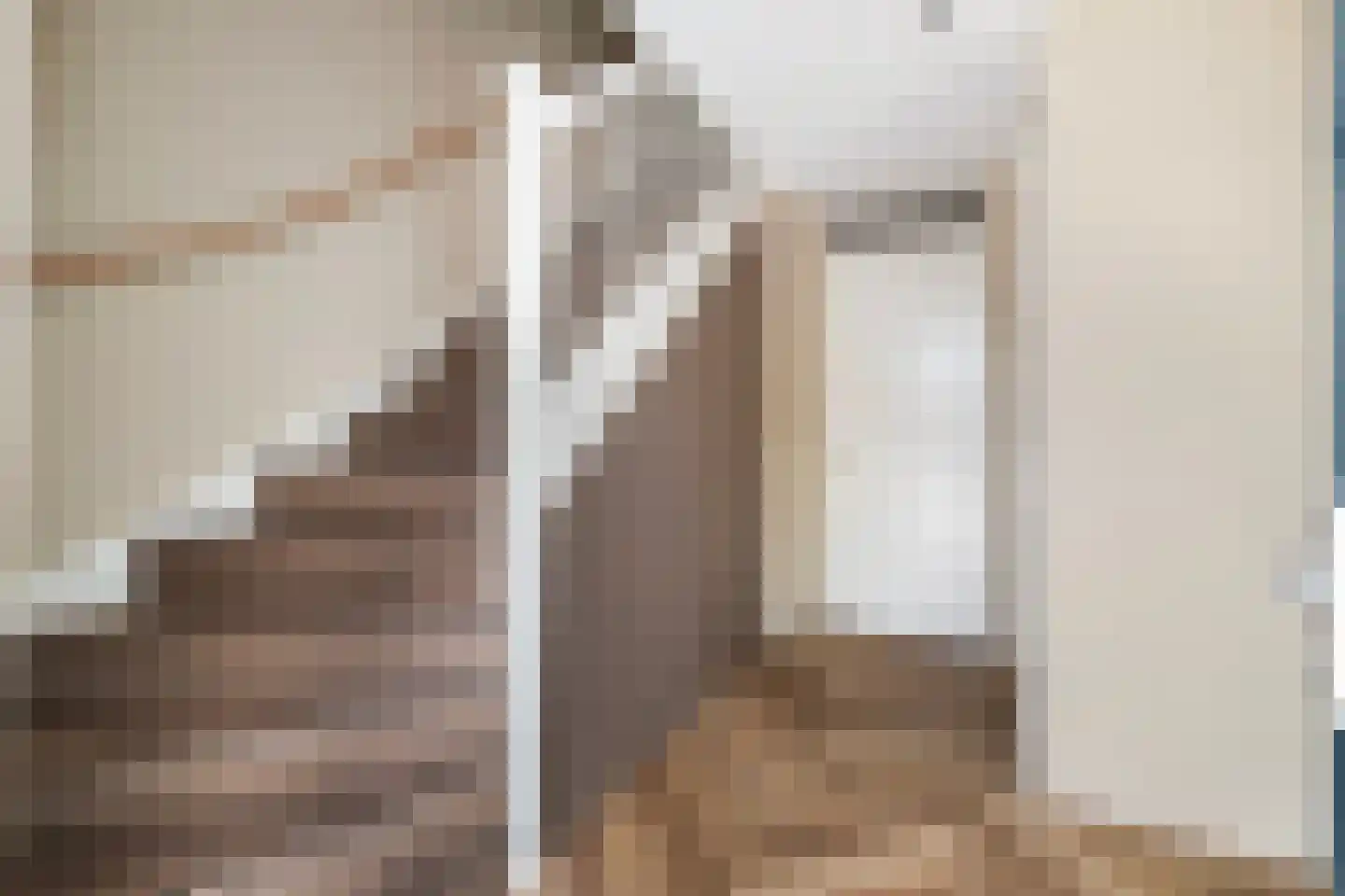 Het Hoefijzer 2 Dronten thumbnail 9