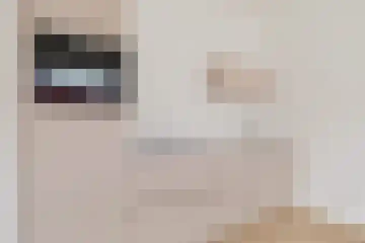 Het Hoefijzer 36 Dronten thumbnail 12