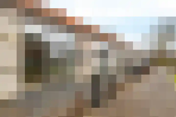 Het Hoefijzer 36 Dronten foto 2