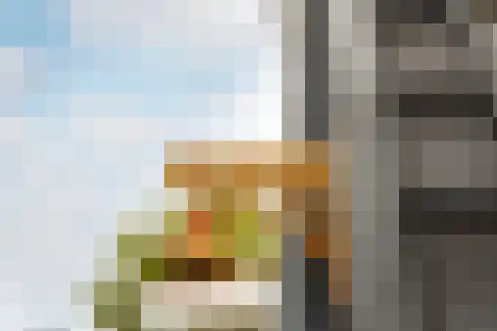 Het Hoefijzer 36 Dronten thumbnail 25