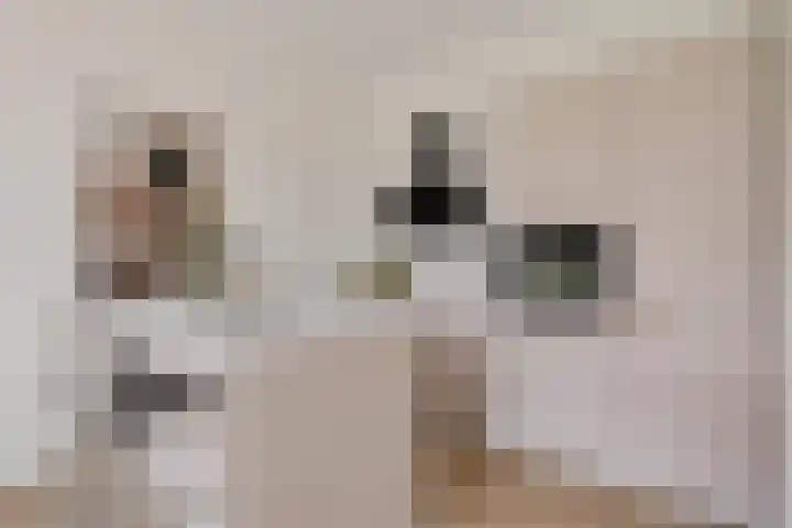 Het Hoefijzer 38 Dronten thumbnail 15