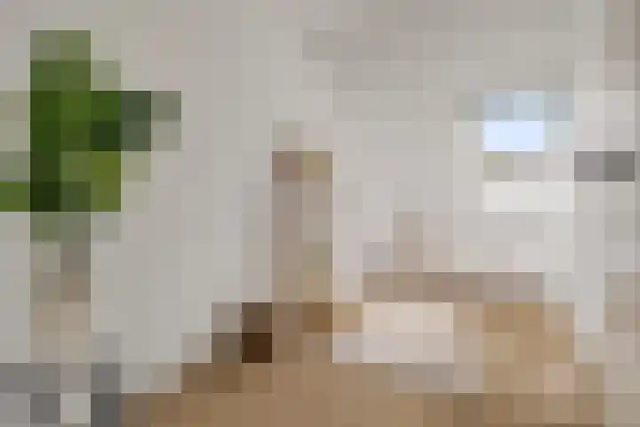Het Hoefijzer 38 Dronten thumbnail 19