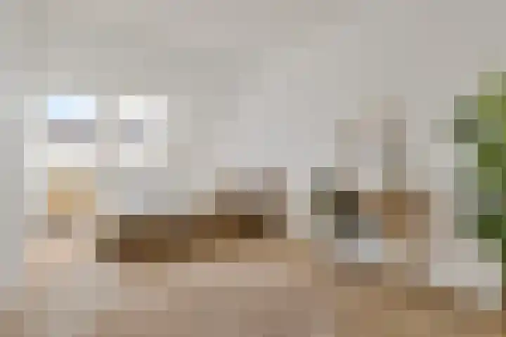 Het Hoefijzer 38 Dronten thumbnail 21