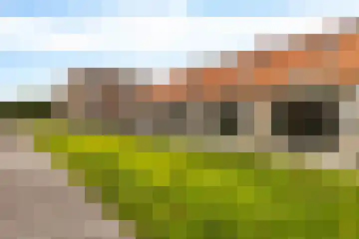 Het Hoefijzer 38 Dronten thumbnail 29