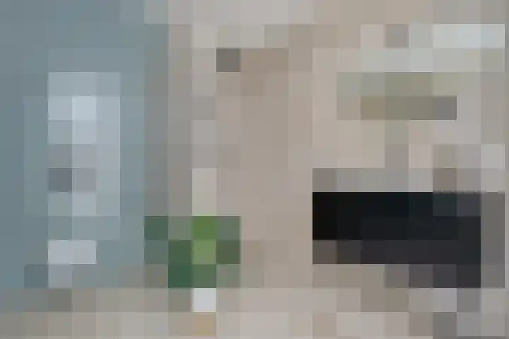 Het Hoefijzer 38 Dronten thumbnail 4