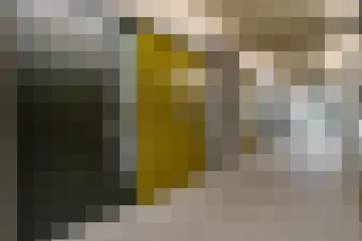 Het Hoefijzer 38 Dronten thumbnail 7