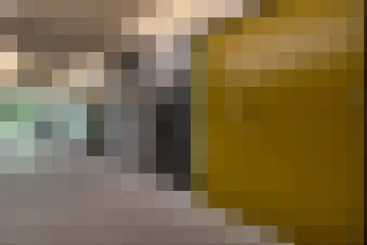 Het Hoefijzer 38 Dronten thumbnail 8