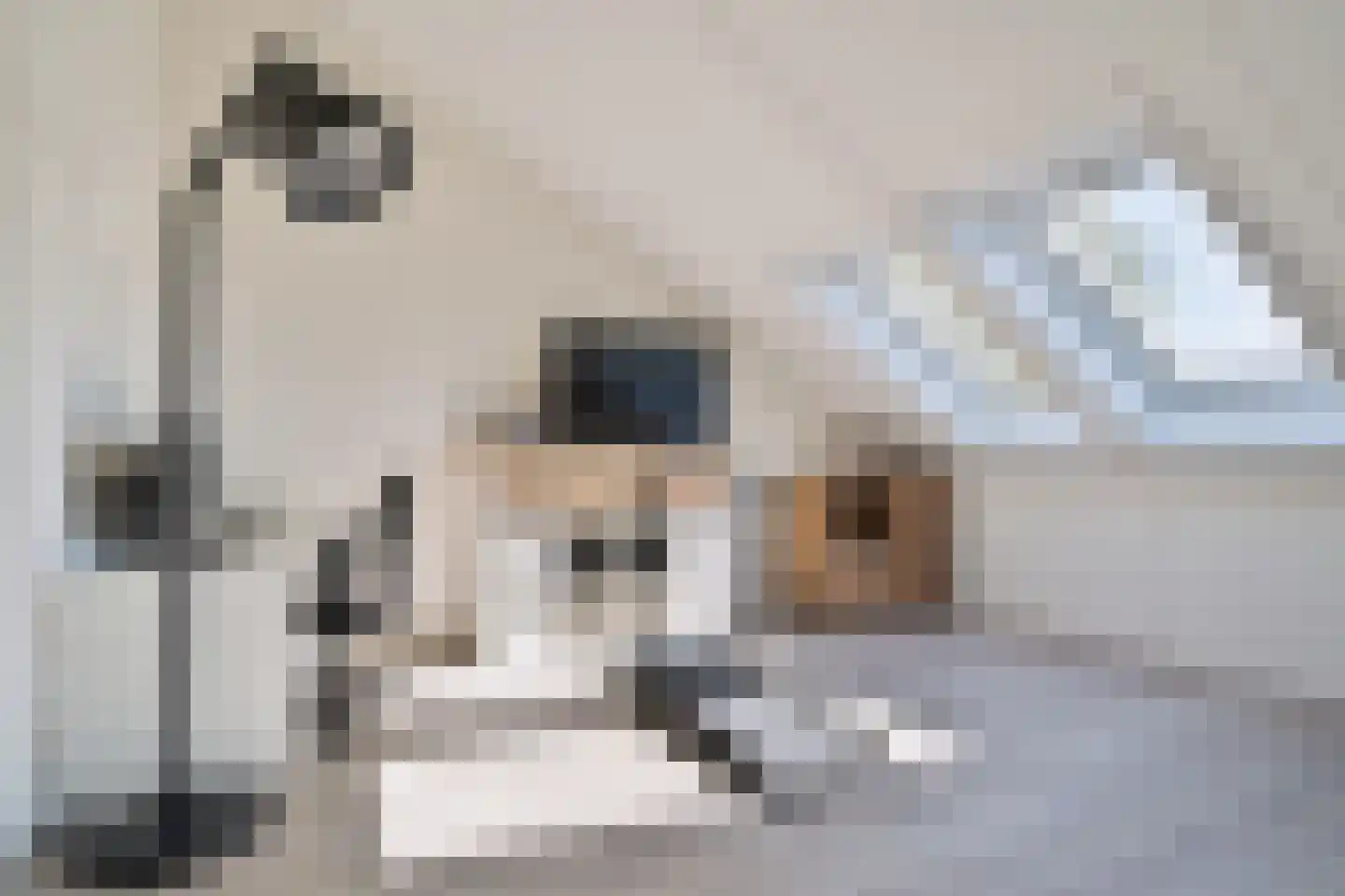 Het Hoefijzer 44 Dronten thumbnail 25