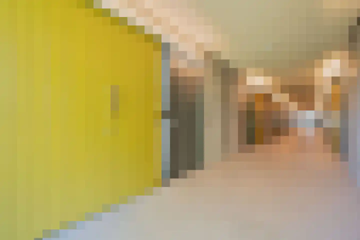 Het Hoefijzer 44 Dronten thumbnail 9