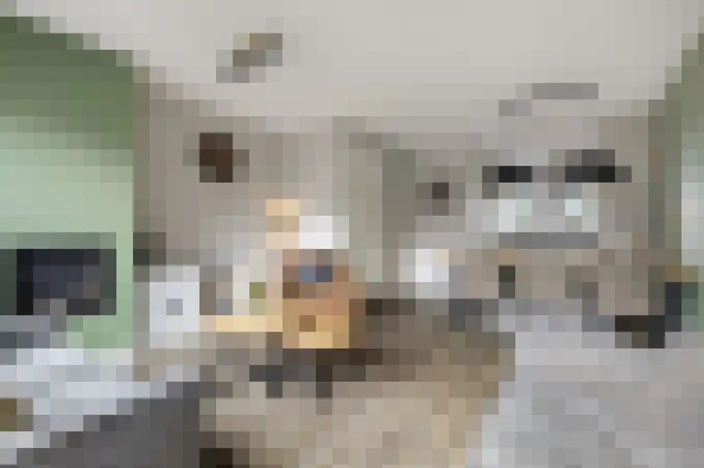 Het Hoefje 55 Lunteren thumbnail 4