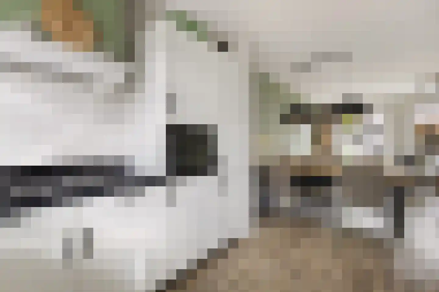 Het Hoefje 55 Lunteren thumbnail 8