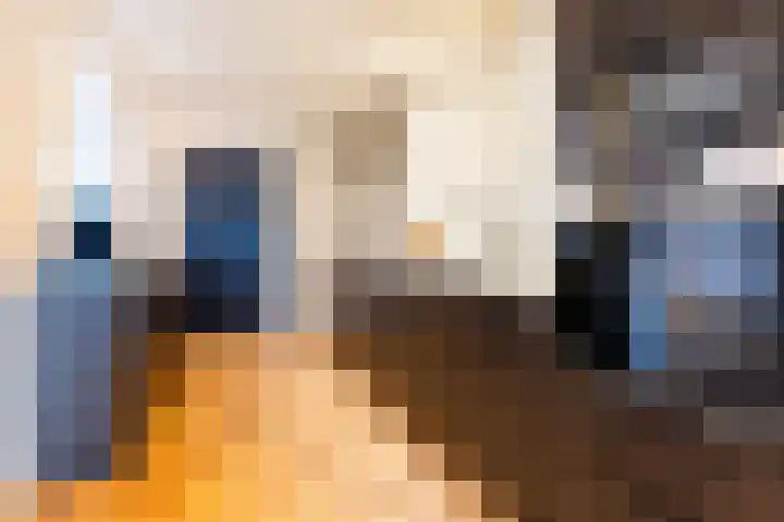 Het Hoefke 13 Ossendrecht thumbnail 10