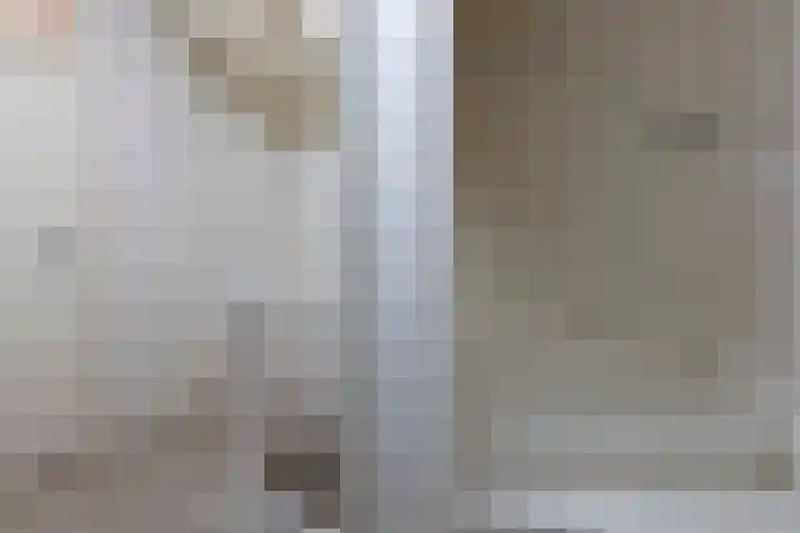 Het Hoefke 13 Ossendrecht thumbnail 23