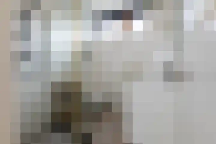 Het Hoefke 13 Ossendrecht thumbnail 24
