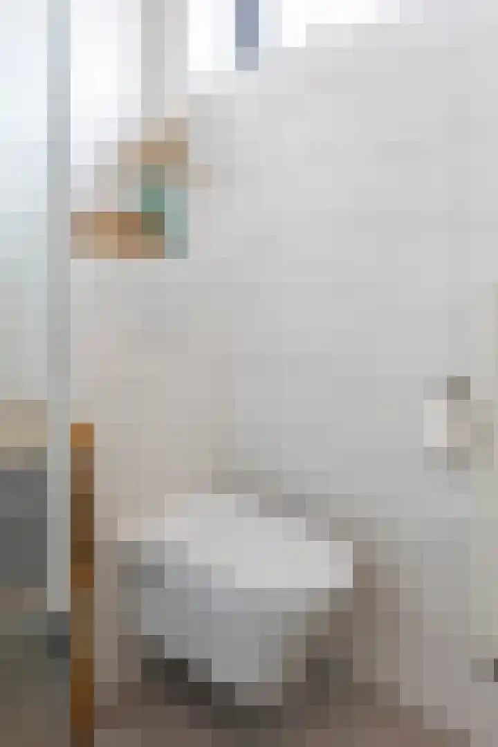 Het Hoefke 13 Ossendrecht thumbnail 27