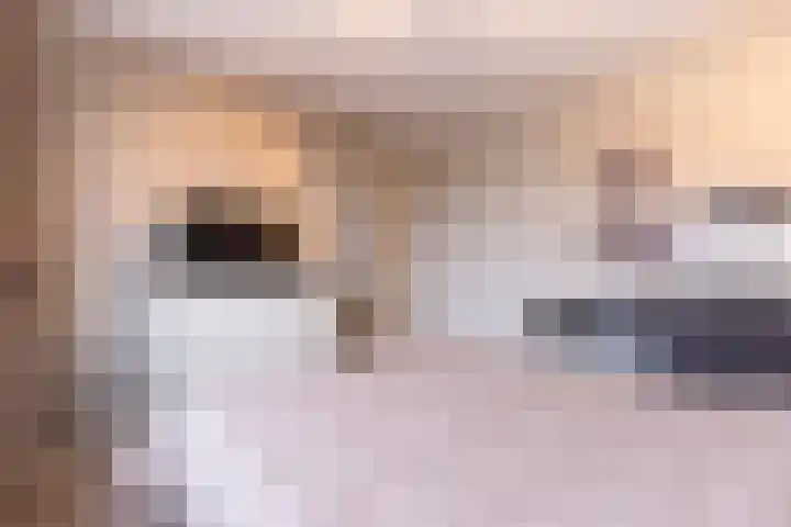 Het Hoefke 13 Ossendrecht thumbnail 32