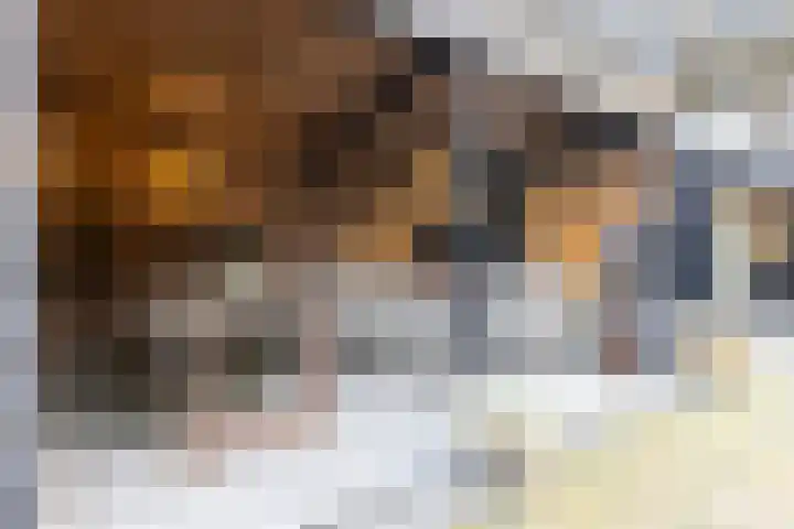 Het Hoefke 13 Ossendrecht thumbnail 47