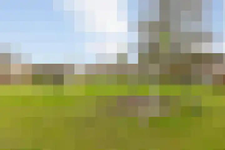 Het Hoefke 13 Ossendrecht thumbnail 56