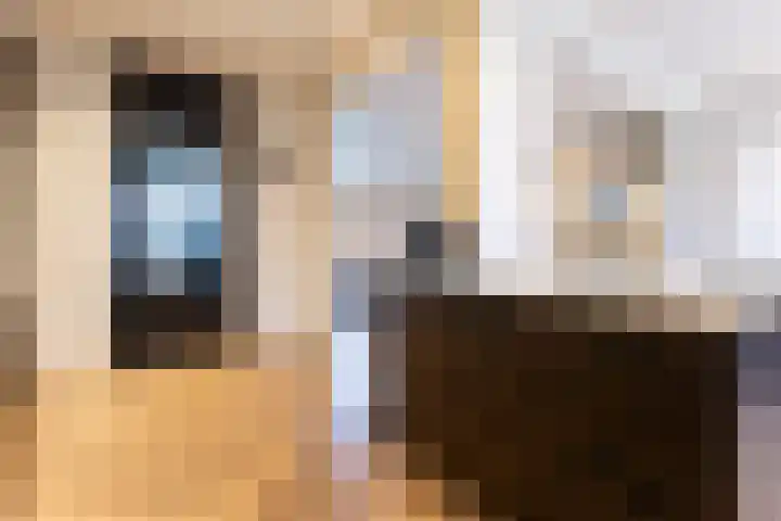 Het Hoefke 13 Ossendrecht thumbnail 9