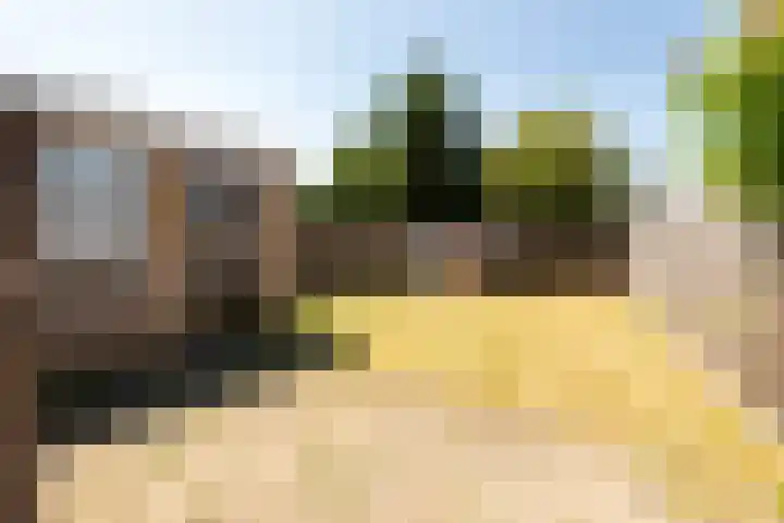 Het Hoefke 23 Ossendrecht thumbnail 25