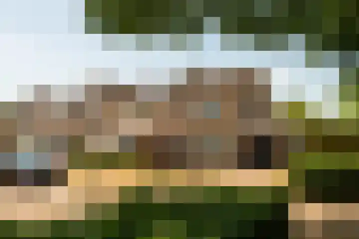 Het Hoefke 23 Ossendrecht thumbnail 31