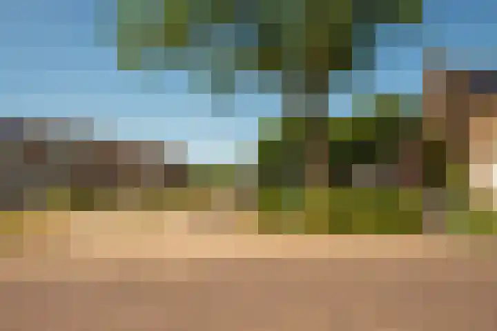 Het Hoefke 23 Ossendrecht thumbnail 33