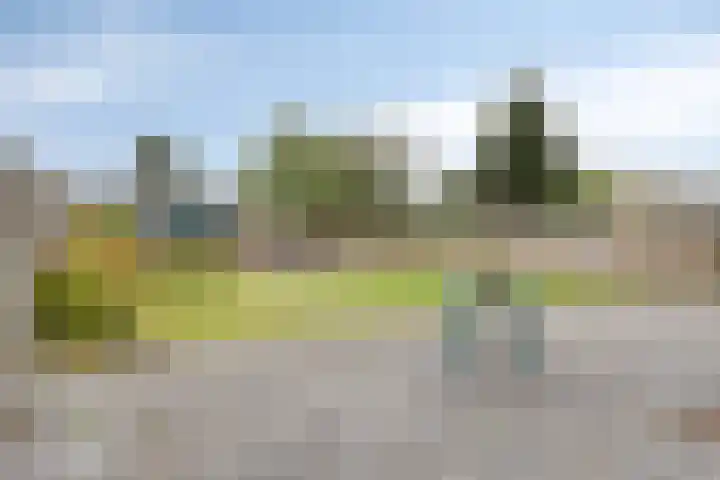 Het Hoefke 42 Ossendrecht thumbnail 25