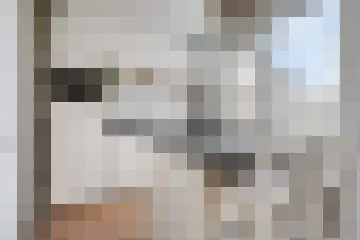 Het Hoefke 42 Ossendrecht thumbnail 4
