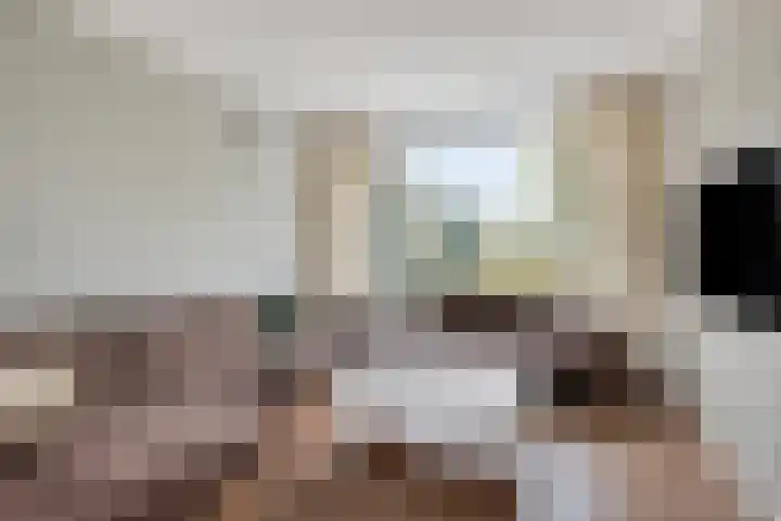 Het Hoefke 42 Ossendrecht thumbnail 9
